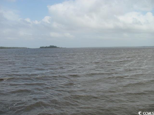 163 Commanders Island Road Georgetown, SC 29440 - Photo 16 of 19 Gallery Image 16