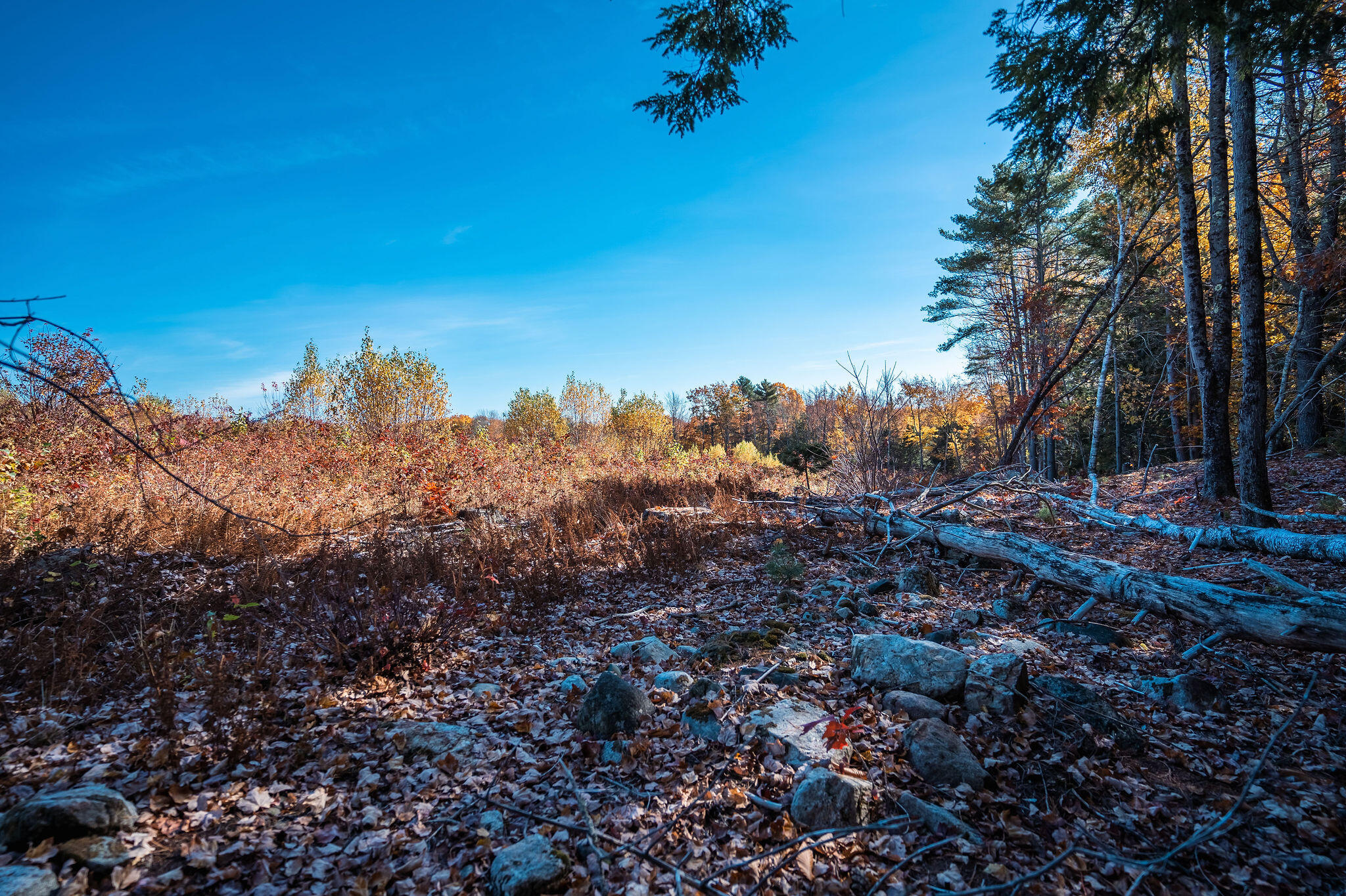 1c Centre Road Wales, ME 04280 - Photo 1 of 29 Gorgeous views
