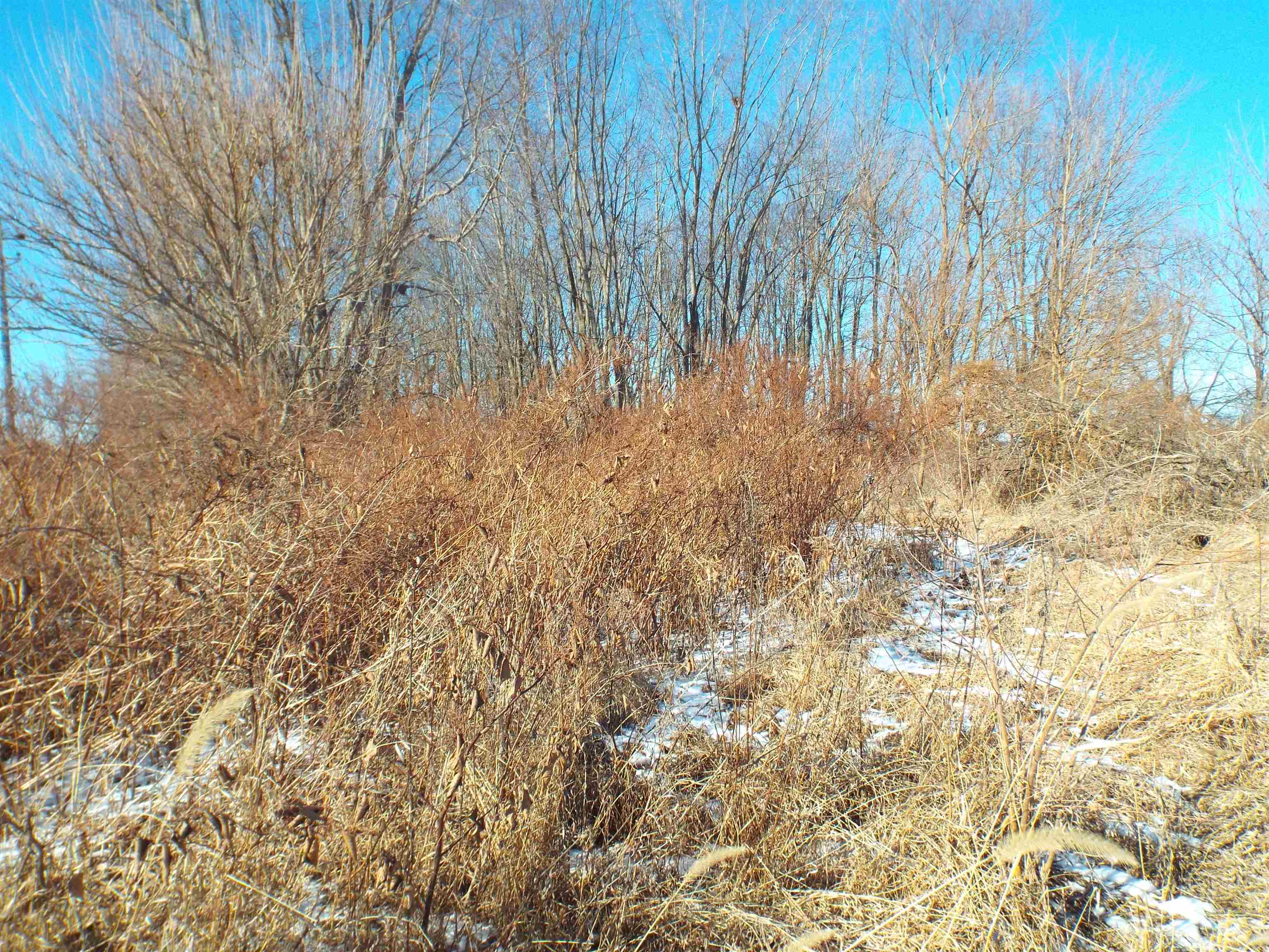 3802 North Cedarville Road Freeport, IL 61032 - Photo 8 of 10