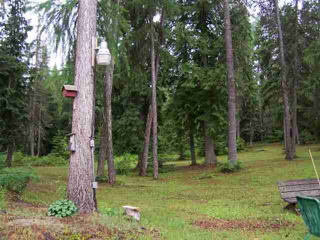 262 D Calcoma Cusick, WA 99119 - Photo 8 of 9 Gallery Image 8