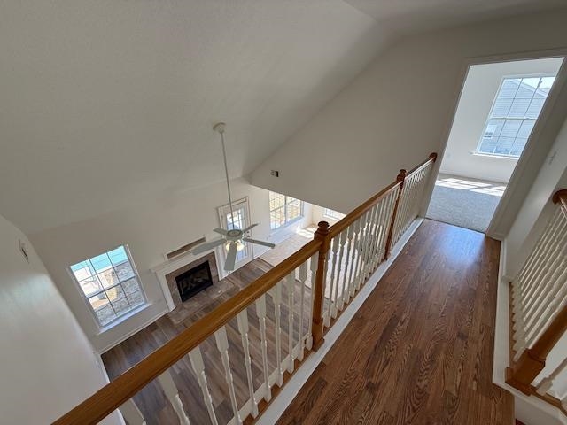238 Waxberry Court Boiling Springs, SC 29316 - Photo 36 of 47