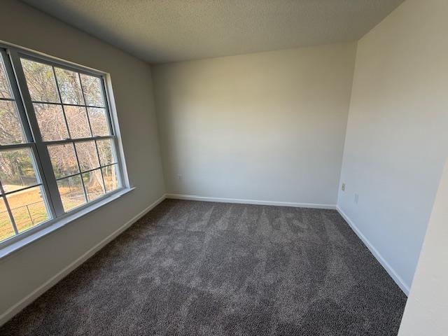 238 Waxberry Court Boiling Springs, SC 29316 - Photo 43 of 47