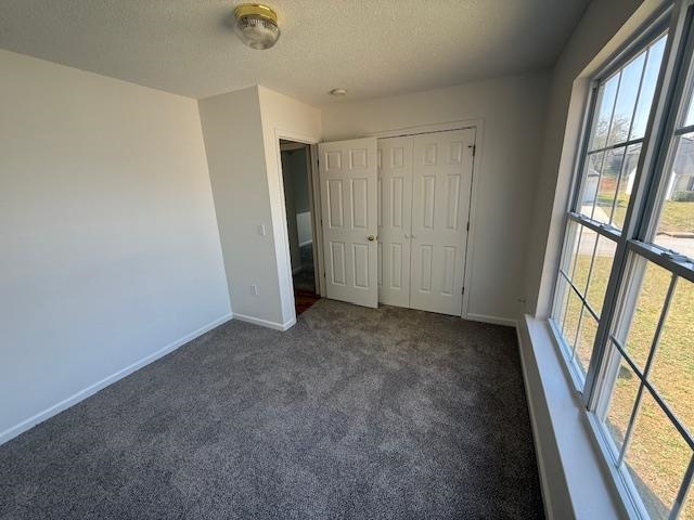 238 Waxberry Court Boiling Springs, SC 29316 - Photo 44 of 47