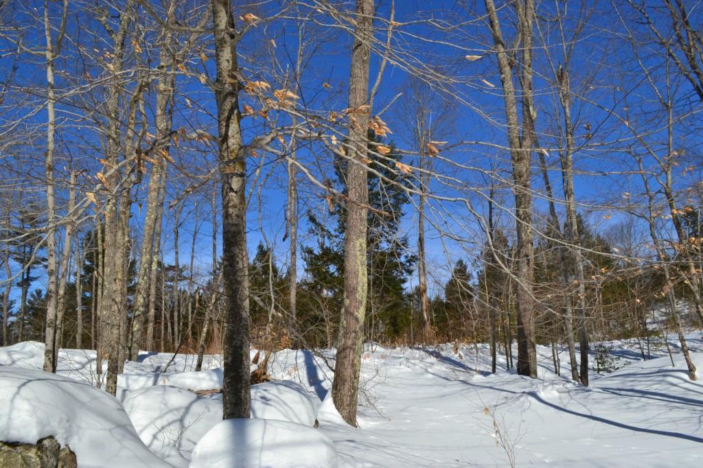 -lot B Ward Road Augusta, ME 04330 - Photo 6 of 6 Photo