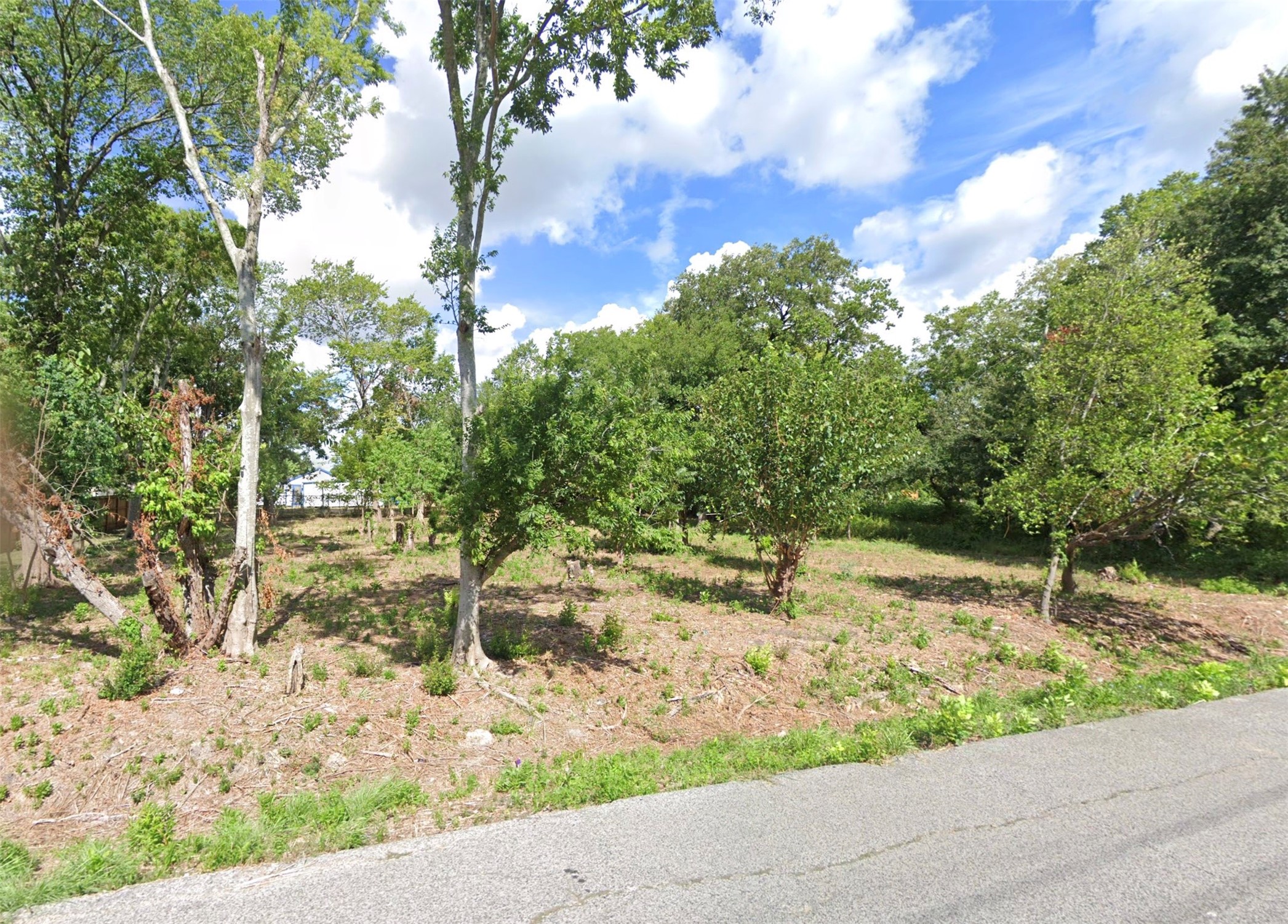 6219 Haight Street Houston, TX 77028 - Photo 2 of 6 a view of a yard with plants and trees