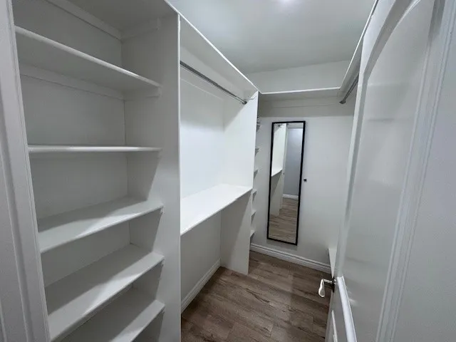 a view of an empty walk in closet