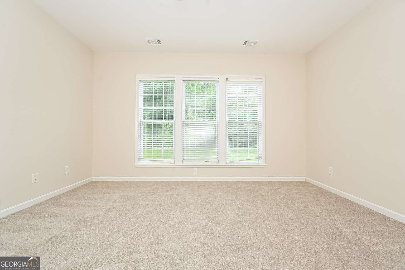 116 Magic Lily Drive Griffin, GA 30223 - Photo 26 of 37