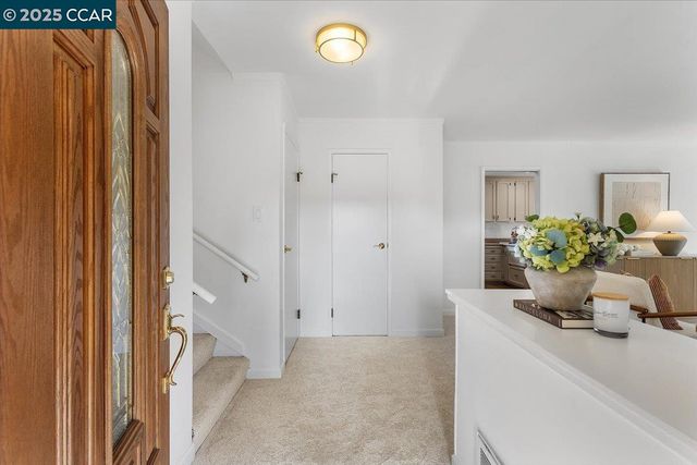 a view of bathroom with a potted plant on a counter