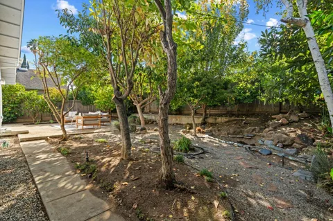a view of a yard with plants and trees