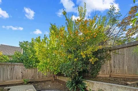 a backyard of a house with lots of green space