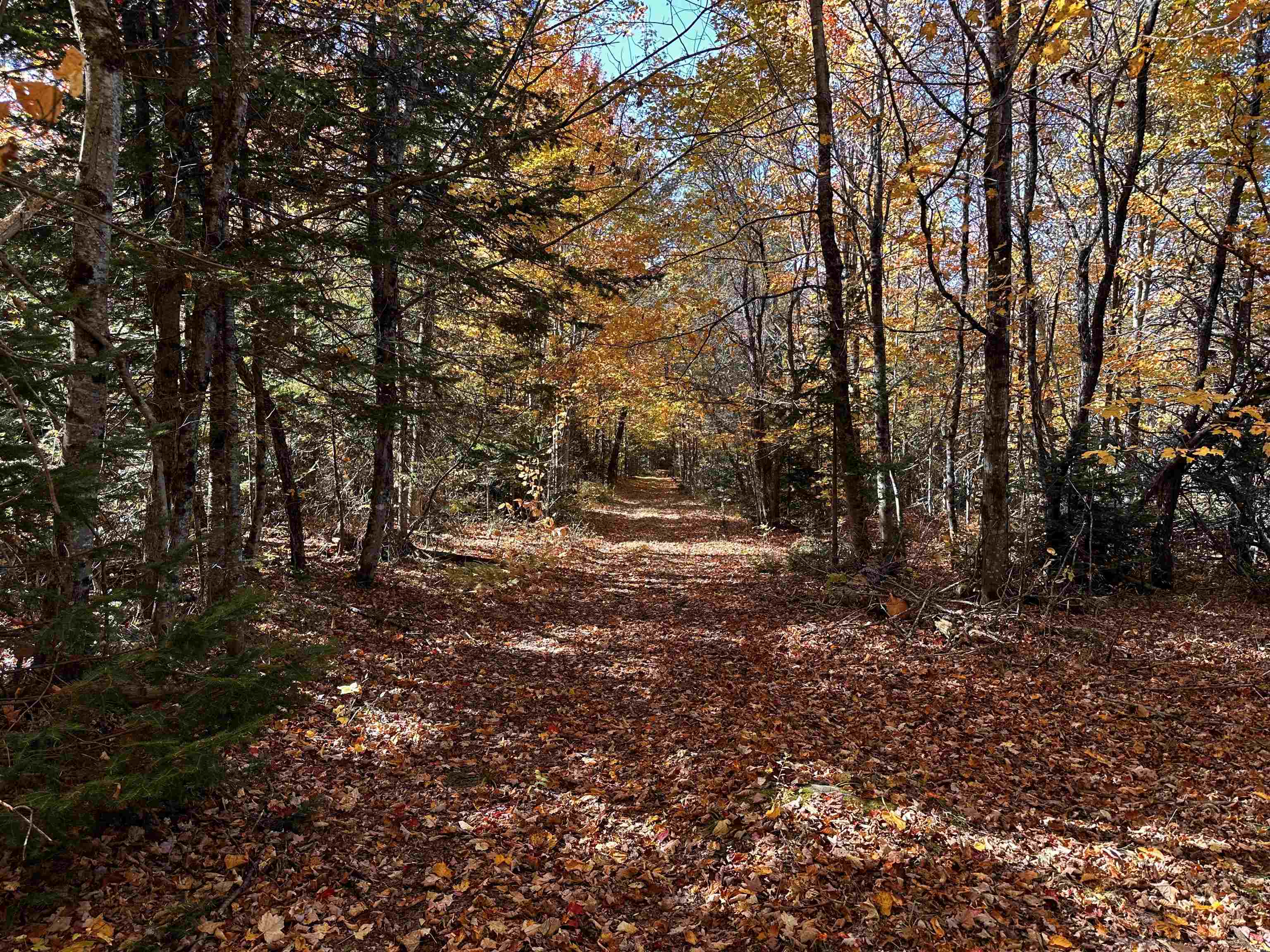 572 Blakely Road Wheelock, VT 05851 - Photo 49 of 52