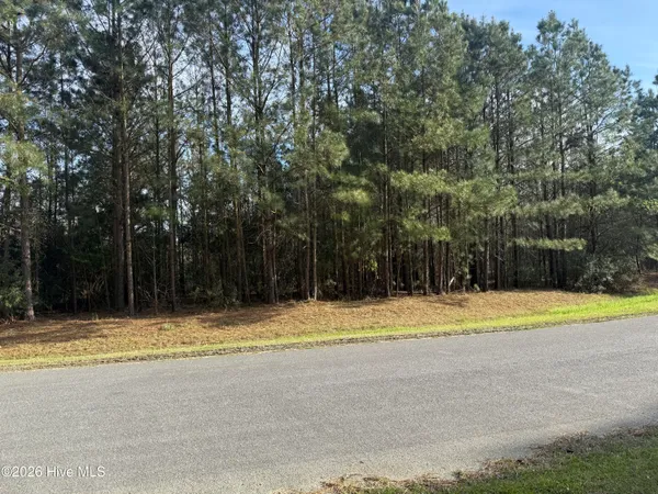 $175,000 | Lot 9-10 Stillwater Drive, Belhaven, NC 27810