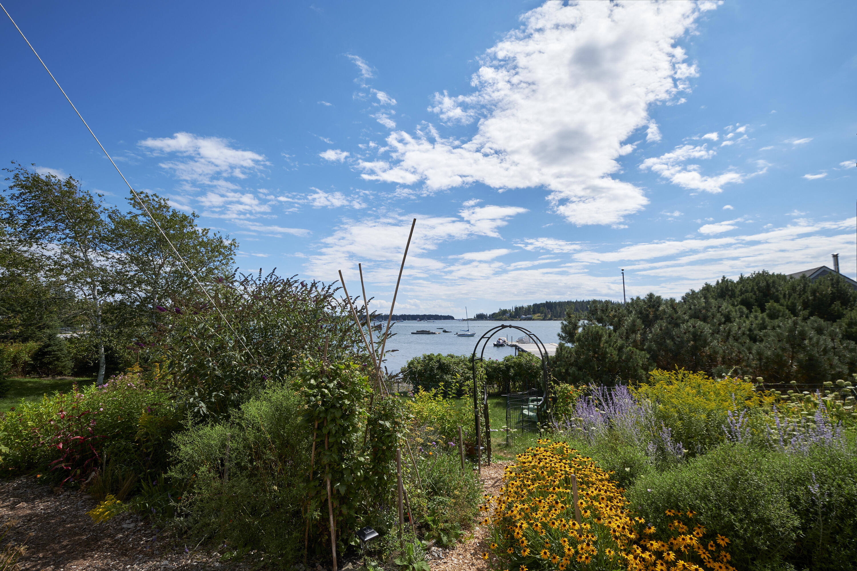 170 Horse Point Road Tenants Harbor, ME 04860 - Photo 14 of 71 11- 170 Horse Point Road - Port Clyde -