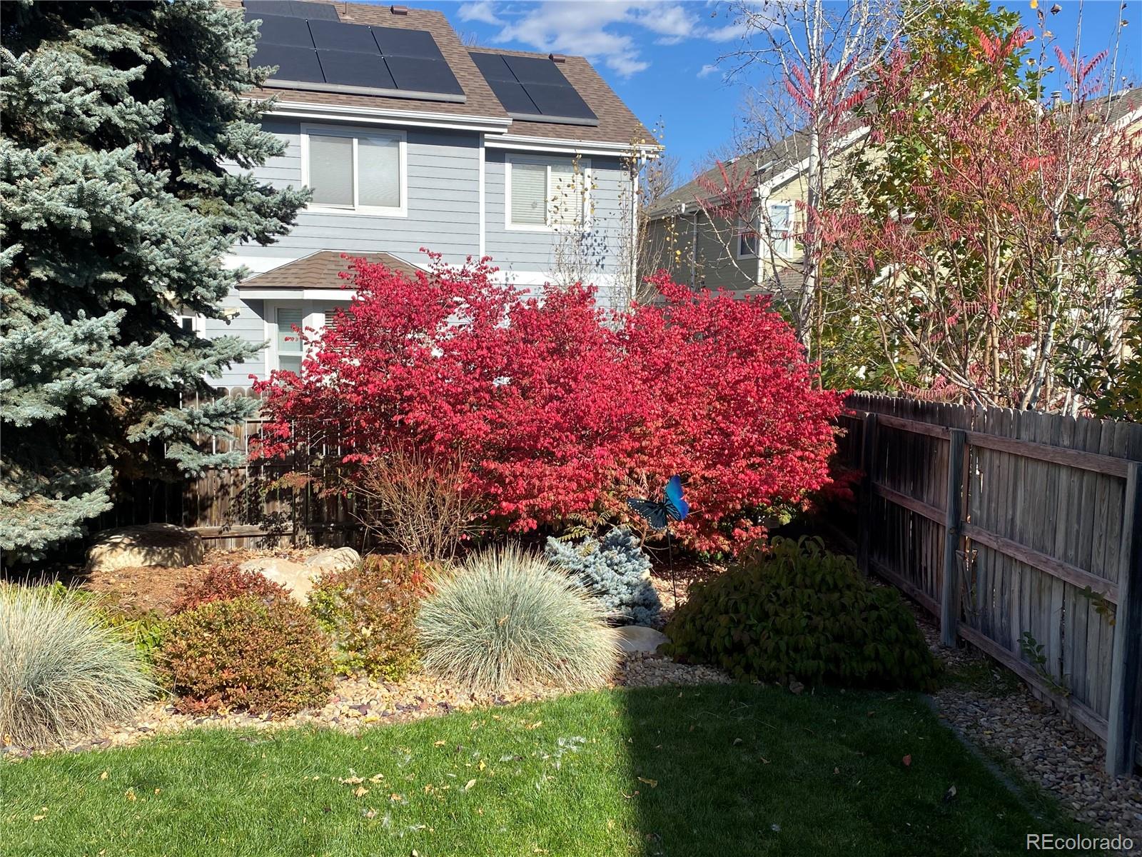 9772 Quay Loop Westminster, CO 80021 - Photo 36 of 36 a front view of house with yard and trees
