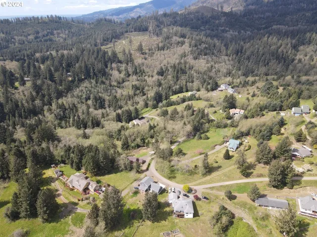 a view of a forest with mountains in the background