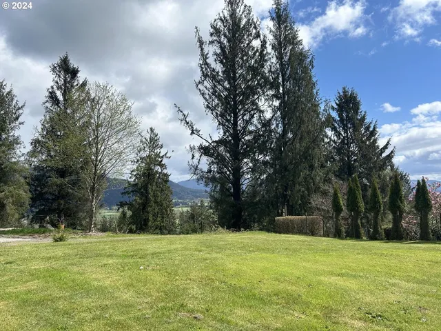 a backyard of a house with lots of green space