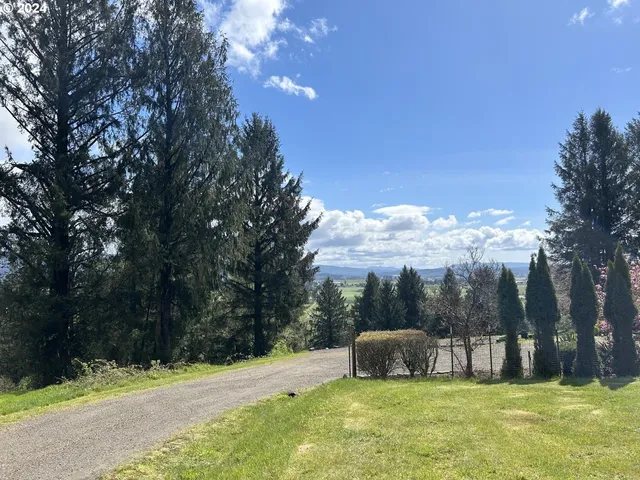 a view of a big yard with large trees