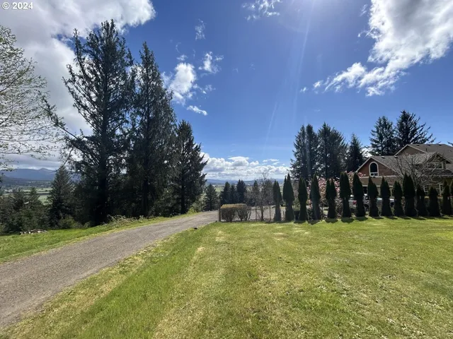 a view of swimming pool is middle in the garden