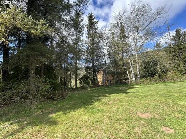 a view of a trees in a yard