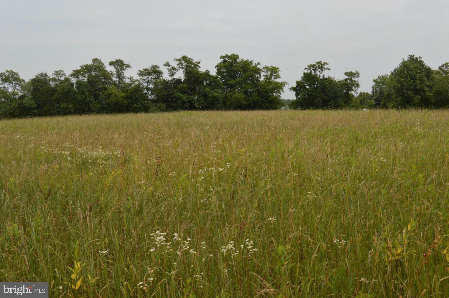 Senseny Road Winchester, VA 22602 - Photo 5 of 11