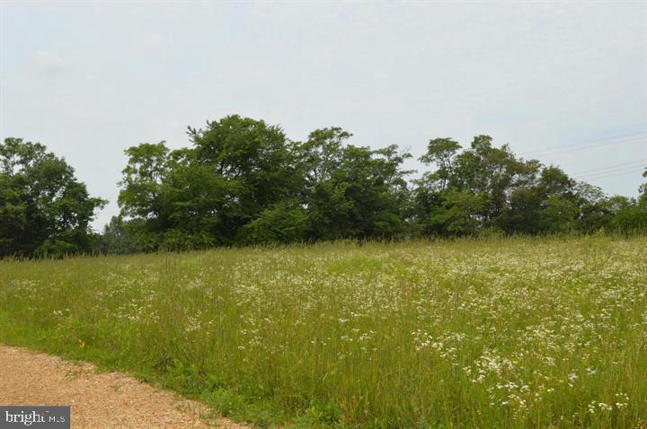 Senseny Road Winchester, VA 22602 - Photo 8 of 11