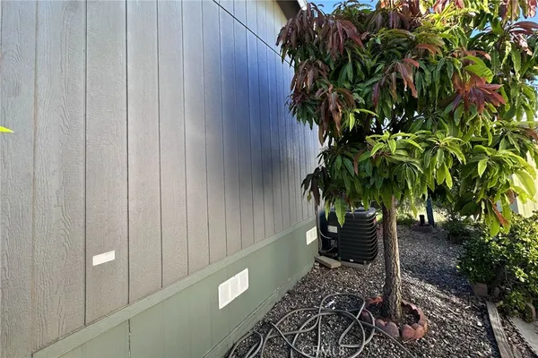 a view of a plant with a plant