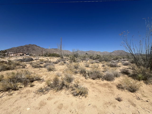 11108 Alvis Road Yucca, AZ 86438 - Photo 5 of 20