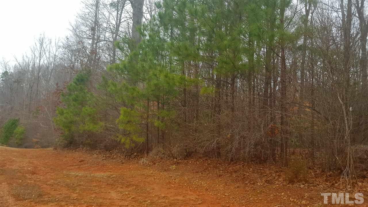 3232 Banks Road Raleigh, NC 27603 - Photo 5 of 5 a view of a yard