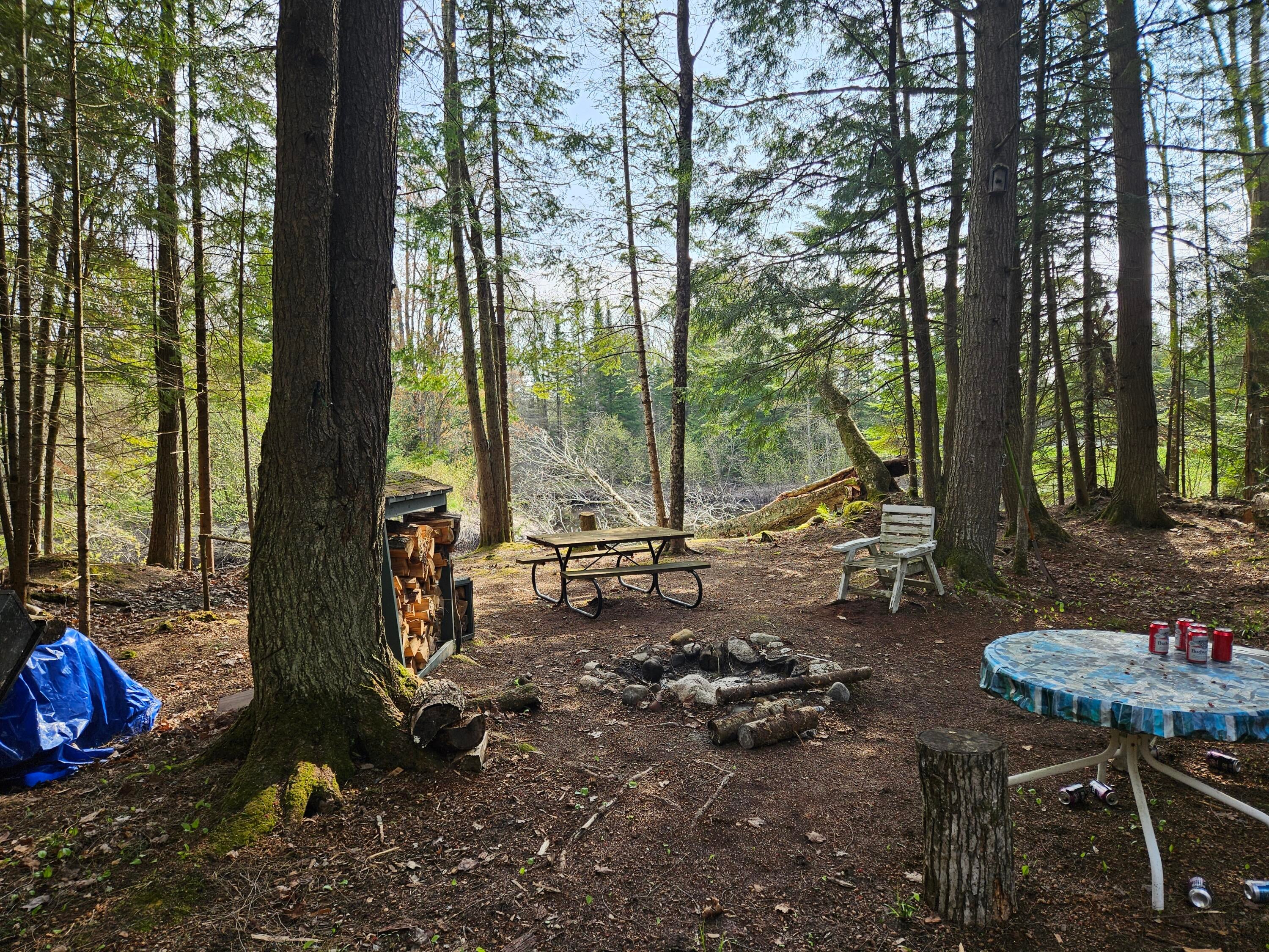 0 Ten 10 Curves Road Germfask, MI 49836 - Photo 9 of 11 Gallery Image 9