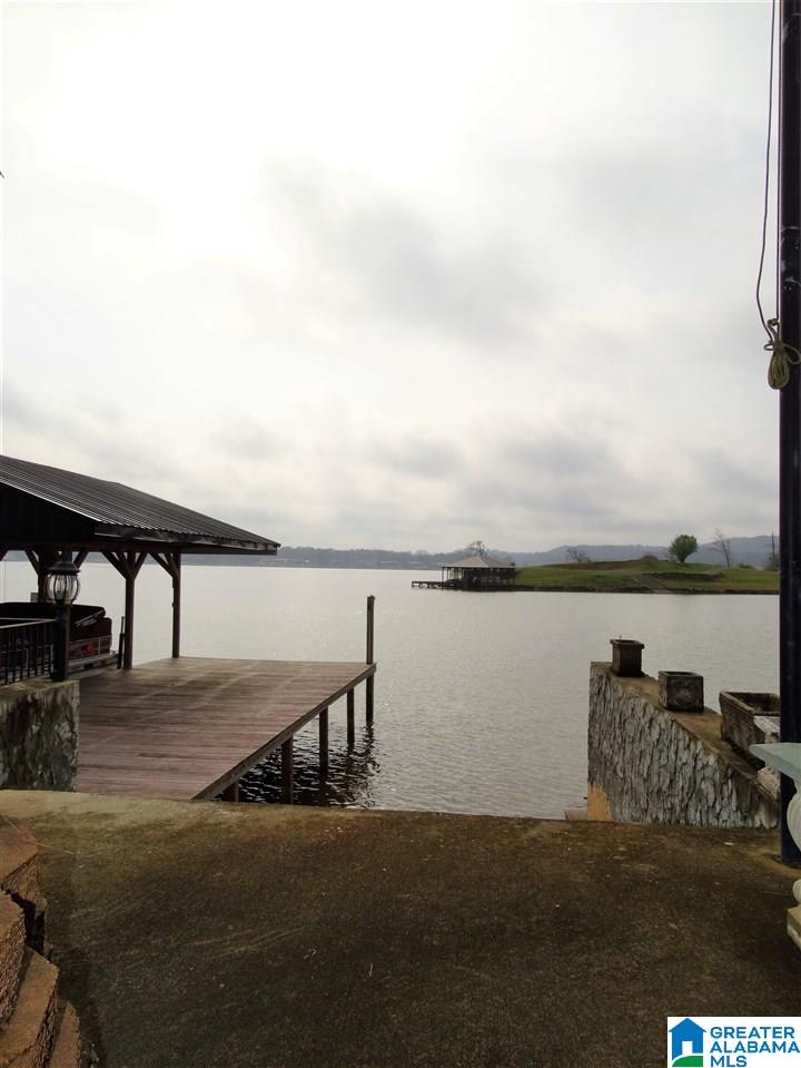 116 Lock 1 Road Ashville, AL 35953 - Photo 42 of 50