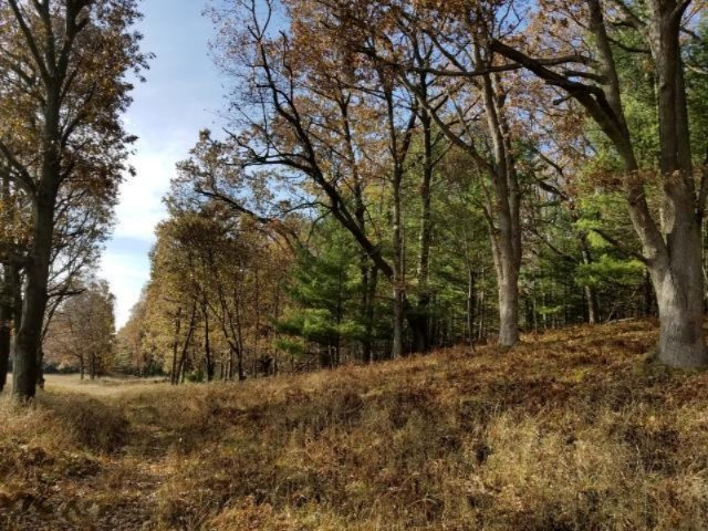 Condon Road Manistee, MI 49660 - Photo 11 of 13 20171130185716191813000000-o