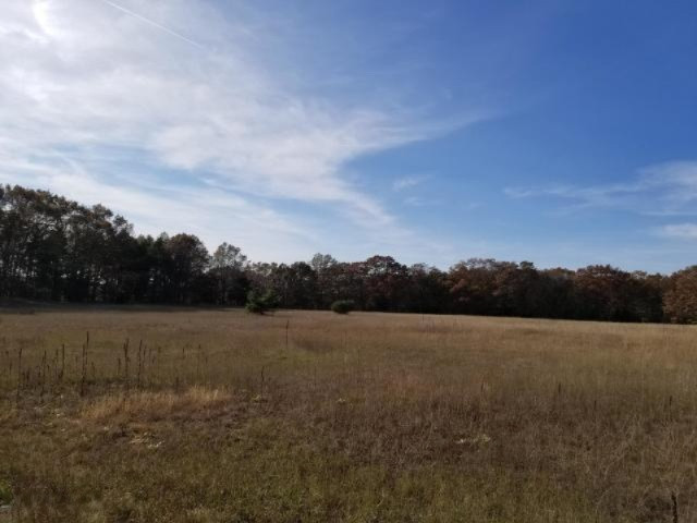 Condon Road Manistee, MI 49660 - Photo 5 of 13 20171130185525342141000000-o