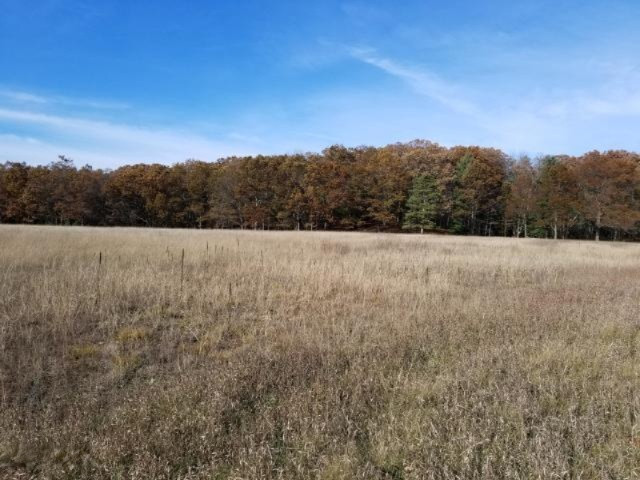 Condon Road Manistee, MI 49660 - Photo 6 of 13 20171130185543484586000000-o
