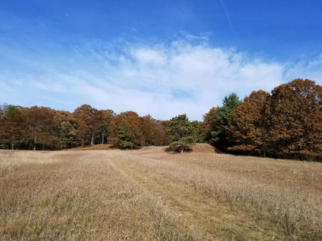 Condon Road Manistee, MI 49660 - Photo 7 of 13 20171130185554687025000000-o