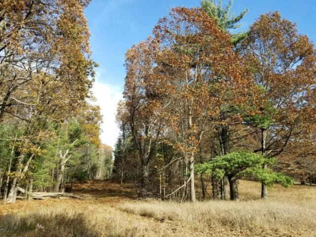 Condon Road Manistee, MI 49660 - Photo 10 of 13 20171130185701483370000000-o