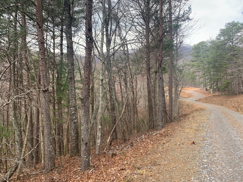 Lot 20 Wolf Ridge Lane Murphy, NC 28906 - Photo 14 of 27