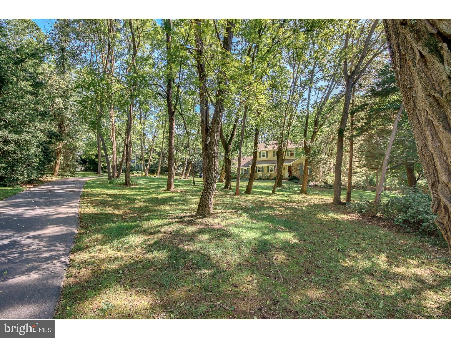 165 Short Road Doylestown, PA 18901 - Photo 3 of 25 Driveway