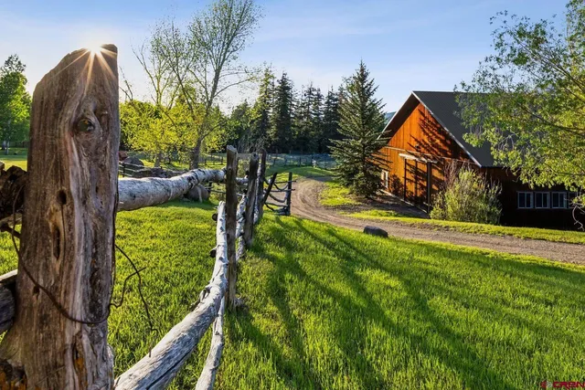 a view of a park with large trees