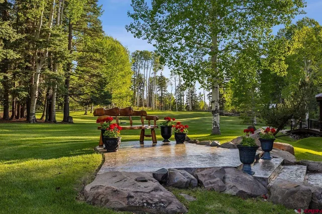 a view of a park with large trees