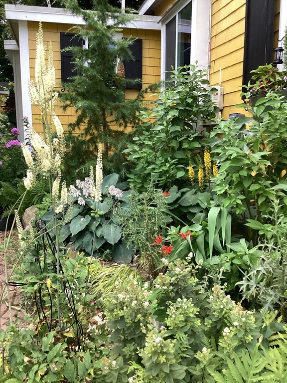 87 Great Woods Road Saugus, MA 01906 - Photo 38 of 42