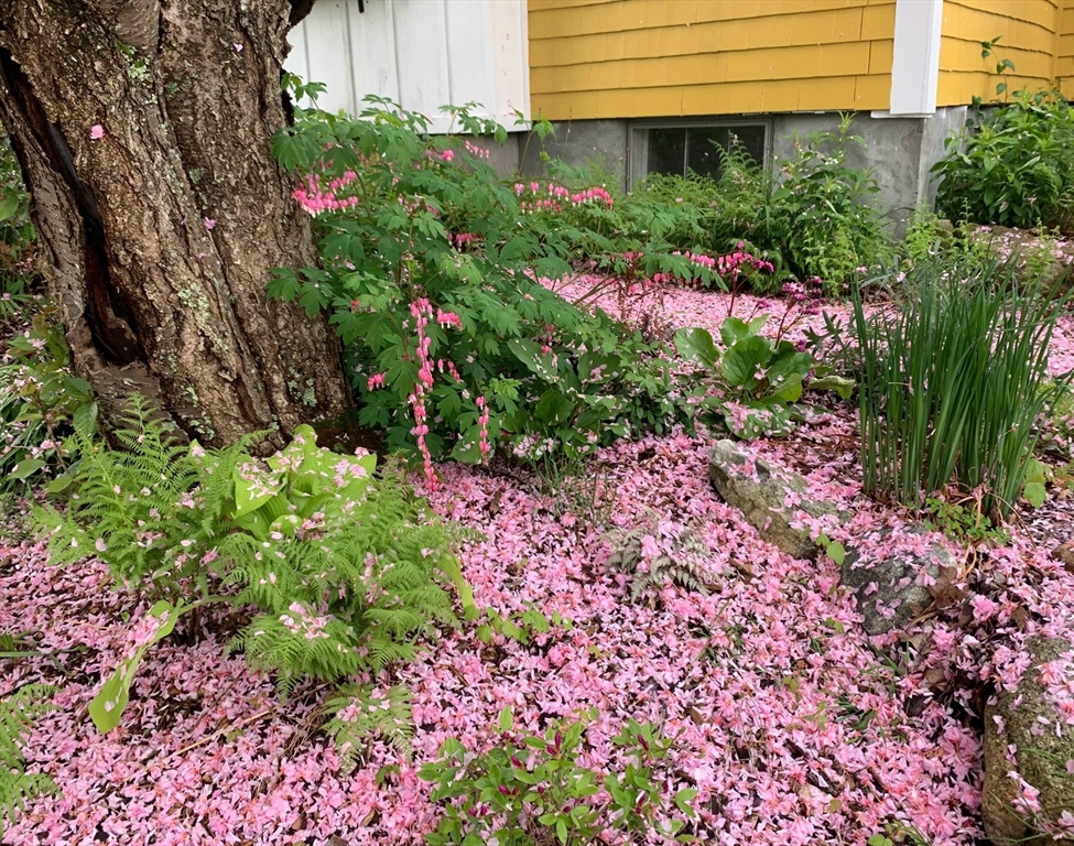 87 Great Woods Road Saugus, MA 01906 - Photo 42 of 42