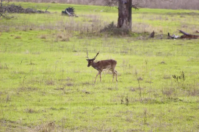 a view of a lake view