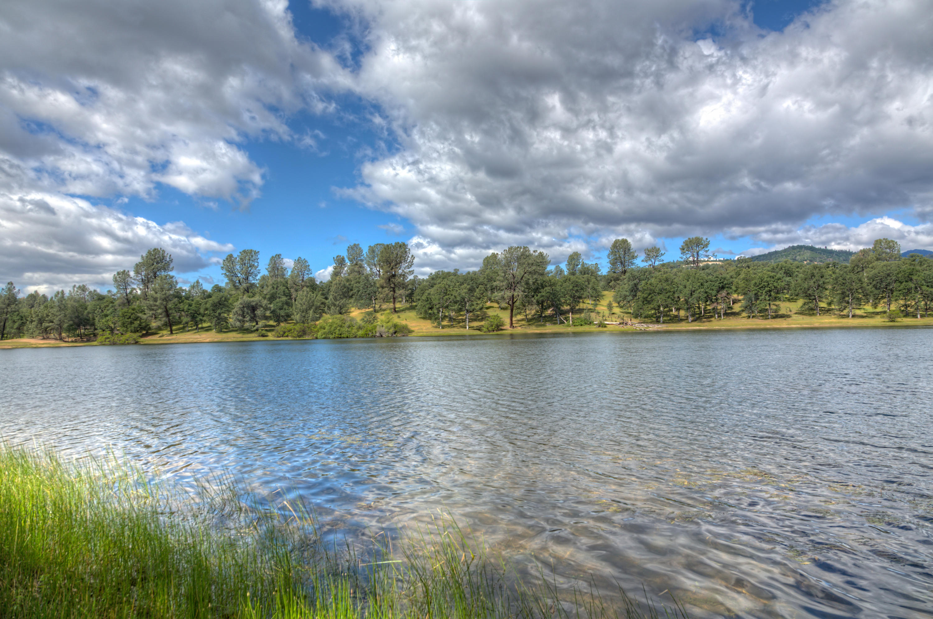 8499 Simmons Road Redding, CA 96001 - Photo 2 of 12 1E3A3204_5_6_HDR