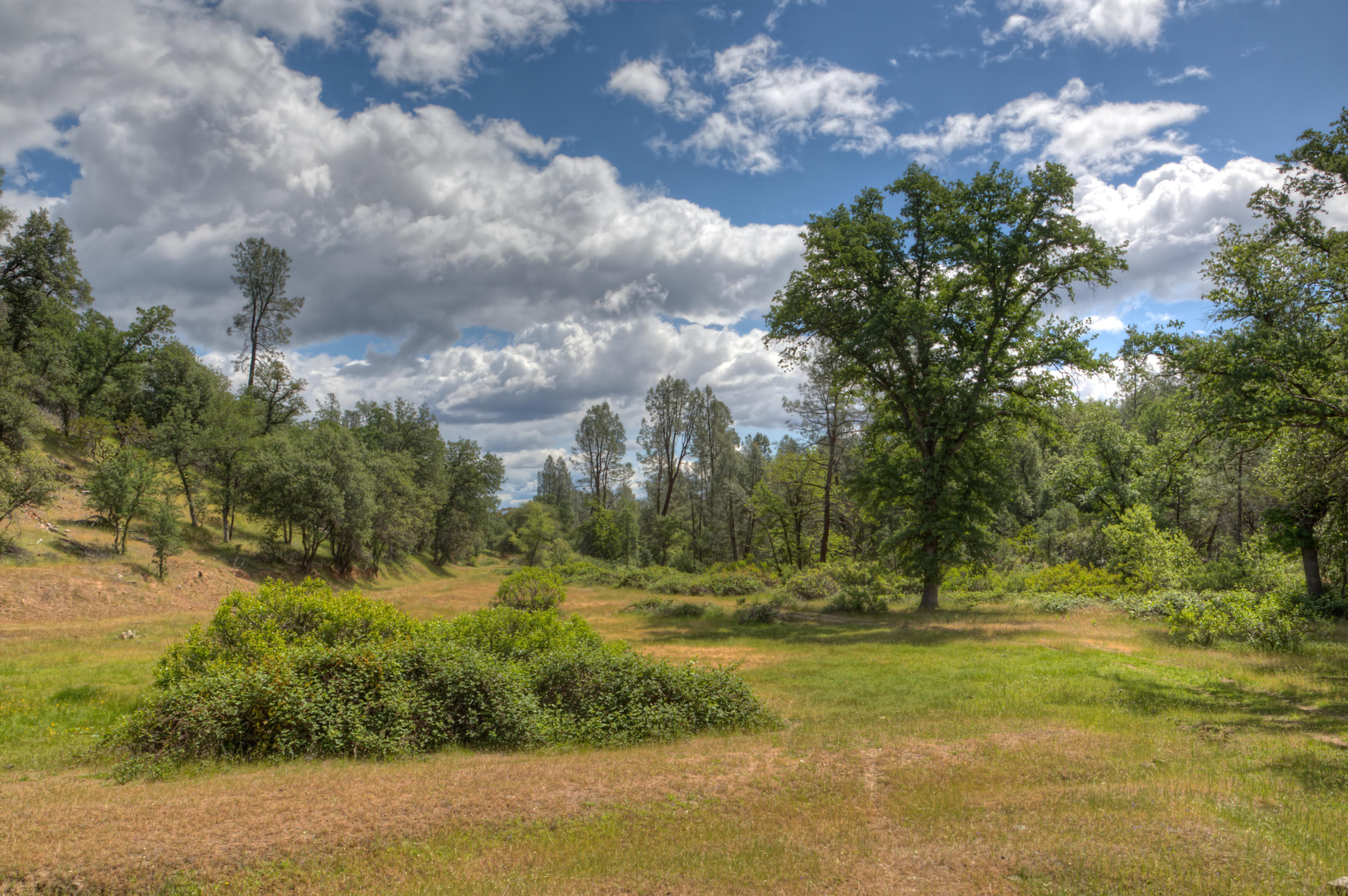 8499 Simmons Road Redding, CA 96001 - Photo 3 of 12 1E3A3254_5_6_HDR
