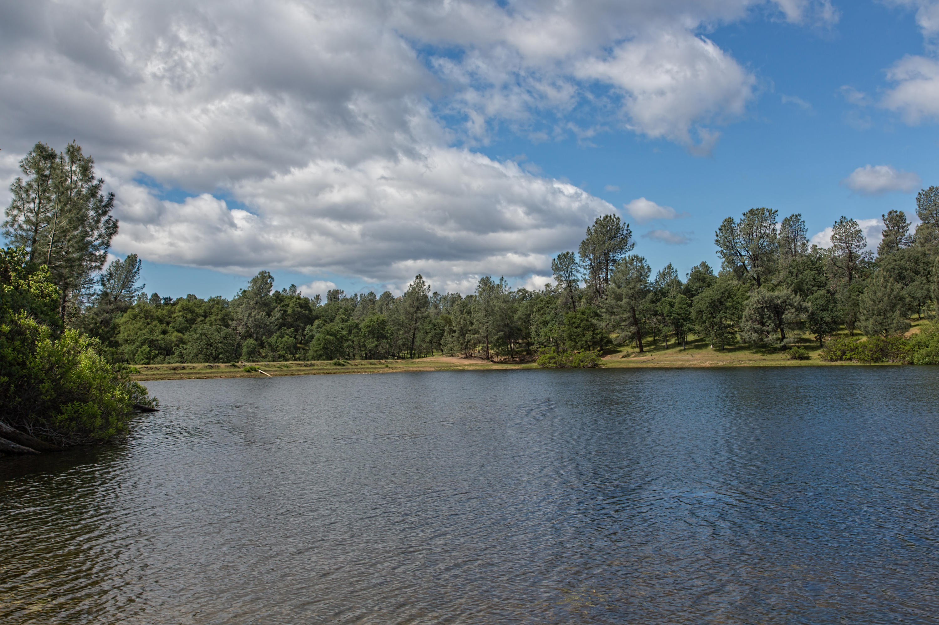 8499 Simmons Road Redding, CA 96001 - Photo 4 of 12 1E3A3202