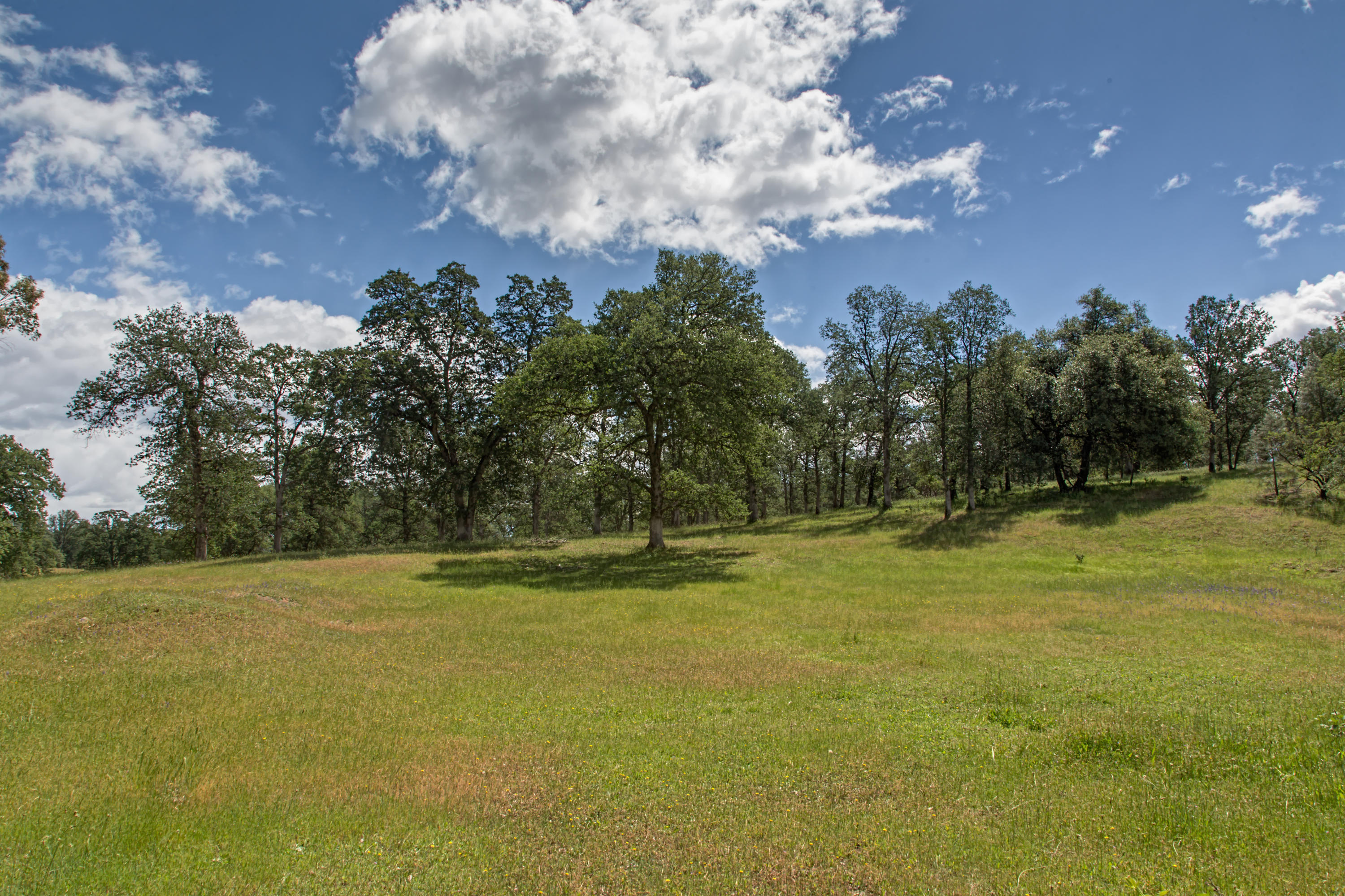 8499 Simmons Road Redding, CA 96001 - Photo 5 of 12 1E3A3266