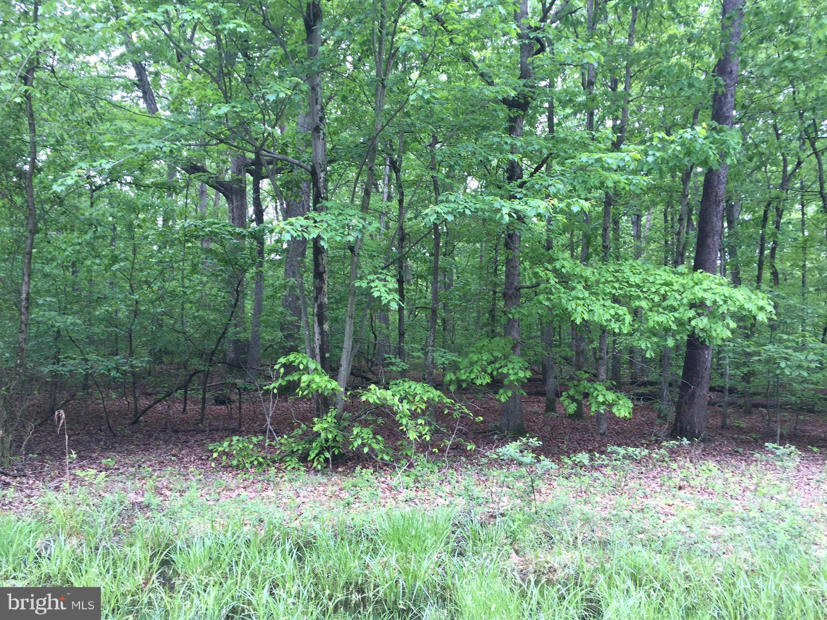 5900 Doyle Road Clifton, VA 20124 - Photo 3 of 5 Exterior (General)