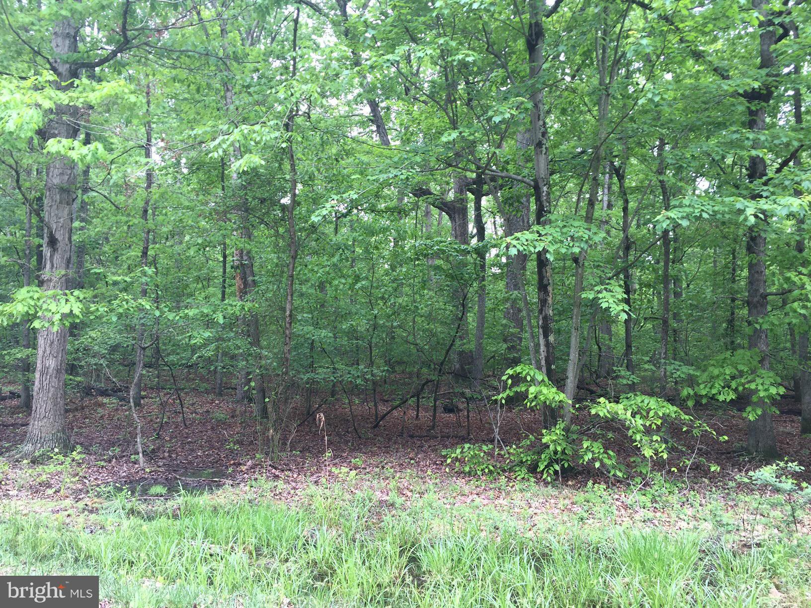 5900 Doyle Road Clifton, VA 20124 - Photo 5 of 5 Exterior (General)