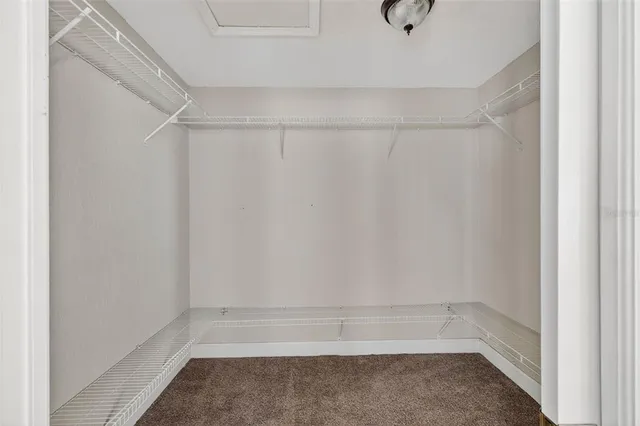 a view of walk in closet