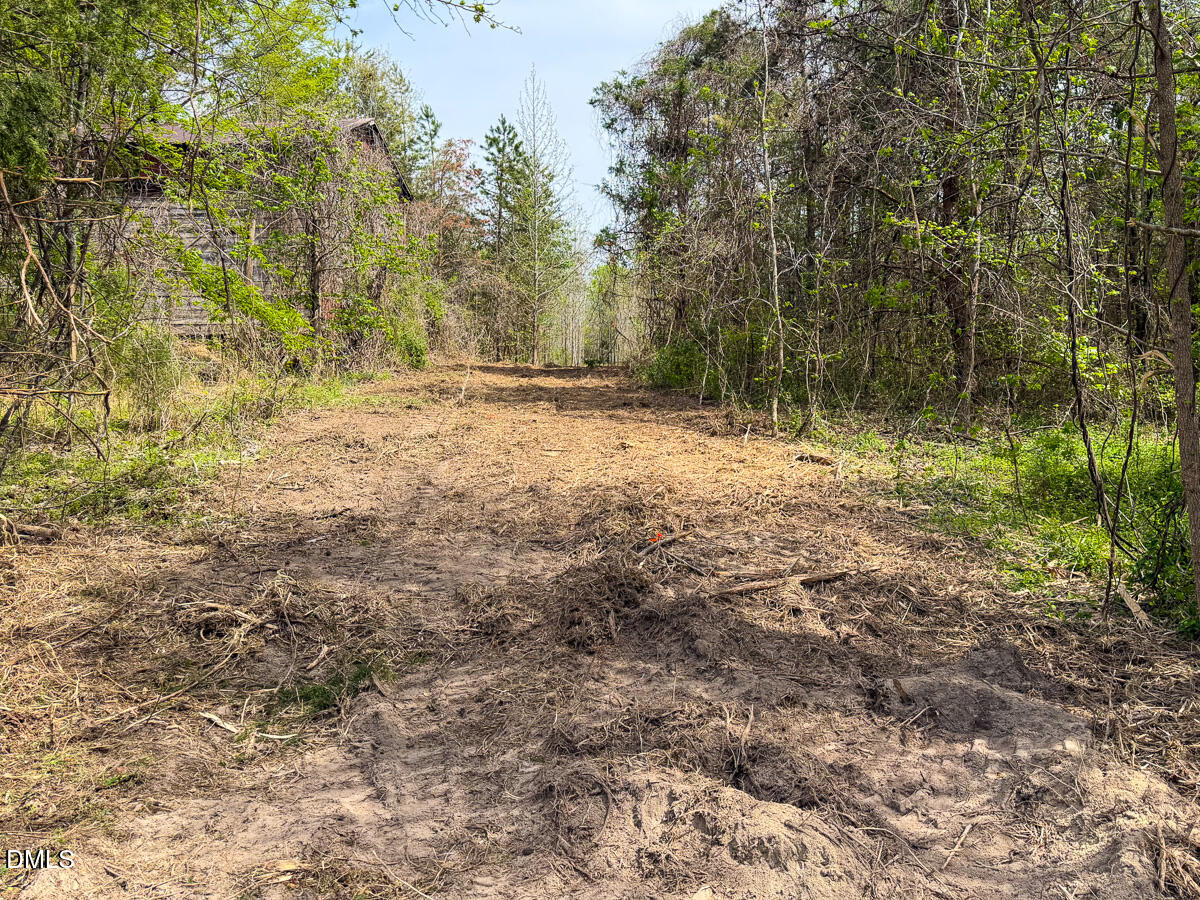 0 Pentecost Road Cedar Grove, NC 27231 - Photo 38 of 45